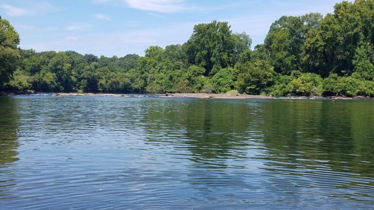 saluda river walk