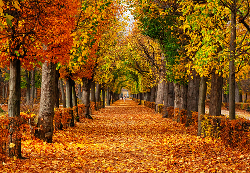 My fall bucket list