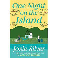 One Night on the Island