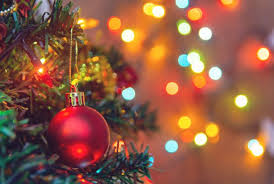 Holiday Gift Guide