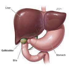 Gallbladder Removal